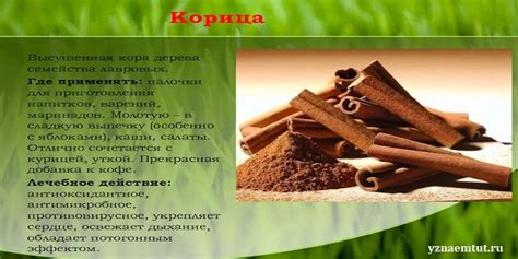 Антибактериальные свойства лимона и корицы