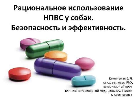 Безопасность и эффективность вакцинации у собак: гарантии здоровья и защиты