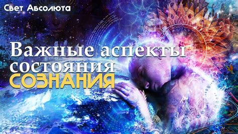 Важные аспекты оценки состояния люка в пазике перед его открытием