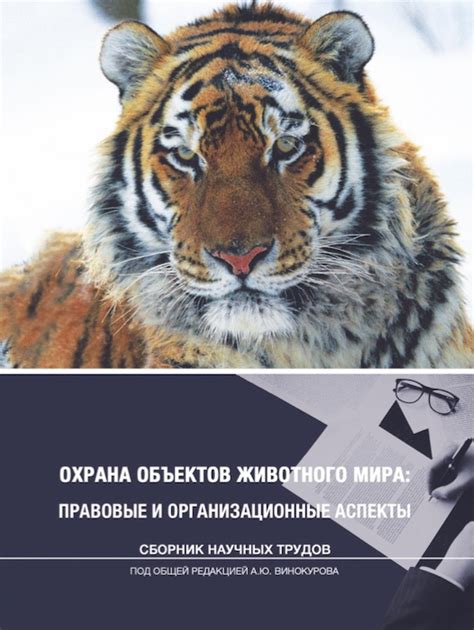 Важные аспекты успешного приручения экипированного животного