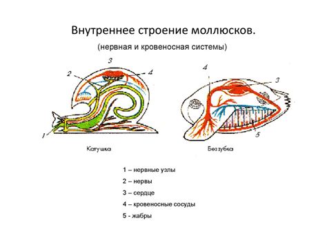 Виды внутренних гратов и их отличительные черты