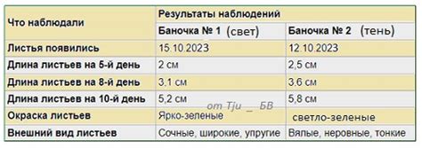 Влияние индивидуального опыта на расшифровку сновидения, где сын одет в наряд