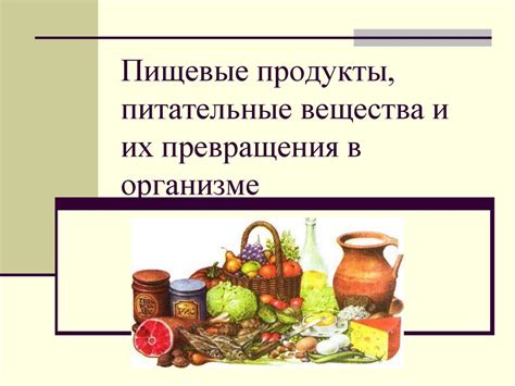 Влияние рациона питания на гамма-аминомаслянную кислоту: связь и питательные продукты