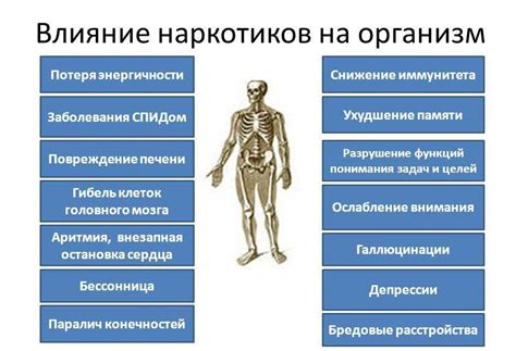Влияние трехкомпонентной присадки на организм