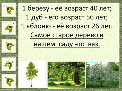 Дополнительные методы определения возраста деревьев