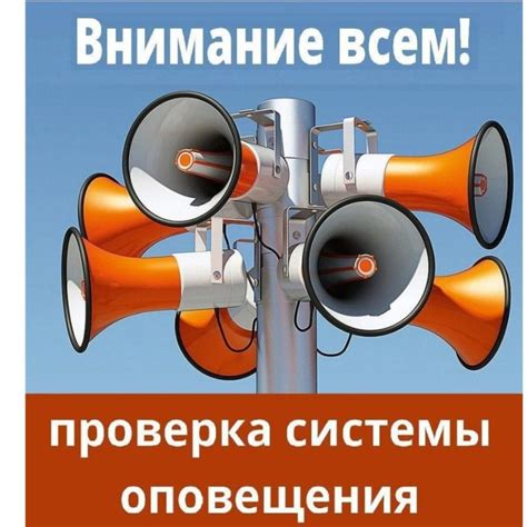 Ежемесячная проверка топора на окисление: предотвращаем проблемы заблаговременно