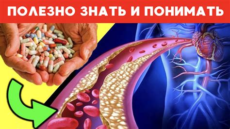 Забота о сердечно-сосудистой системе с помощью натуральных отваров