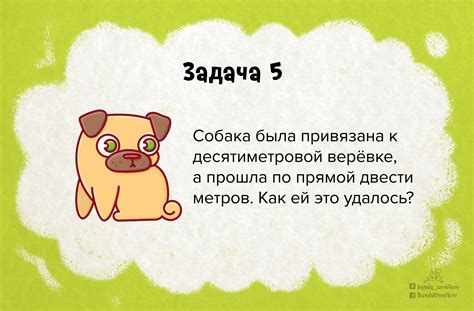Загадки на логику: проверьте свои интеллектуальные способности