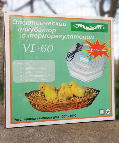 Значение проветривания и регулирования вентиляции в инкубаторе для несушек