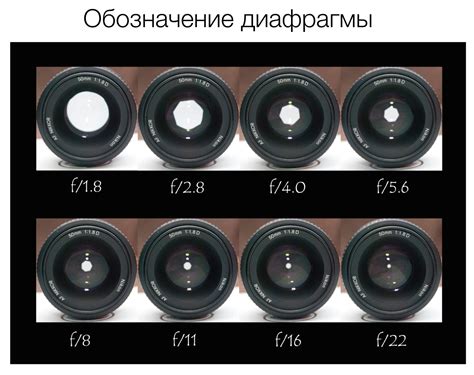 Значимость диафрагмы 1.8 в фотографии