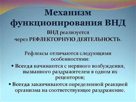 Значимость усвоения принципов функционирования ВНД