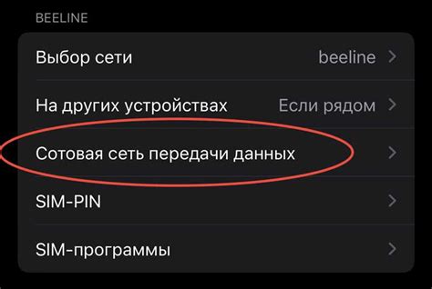 Изменение значения TTL на iPhone: подробная инструкция