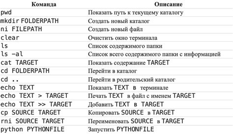 Использование командной строки для определения TTL на iPhone: основы и руководство