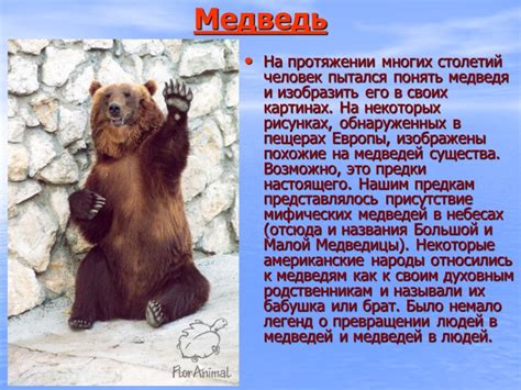 История приметы: мифы и легенды о листе, ниспавшем на голову