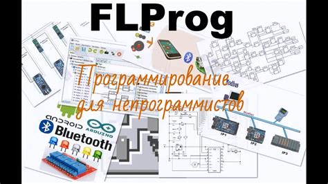 История создания и цели программы