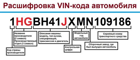 Как определить год выпуска автомобиля BMW по его VIN-номеру