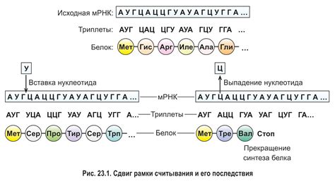 Как определить нужный ген для удаления