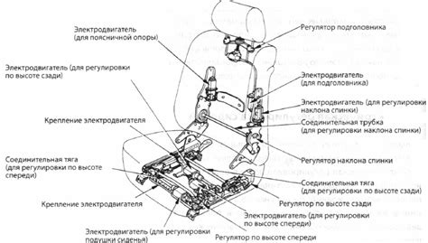 Как определить свой рост для корректной регулировки высоты сиденья на беговеле