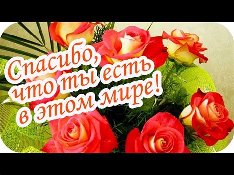 Как правильно отвечать на выражение благодарности девушки по поводу полученного подарка