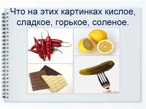 Категории вкусовых рецепторов: сладкий, соленый, кислый, горький и другие