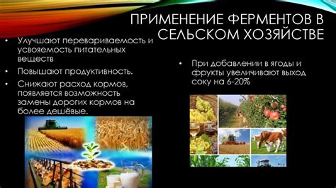 Комбинированное использование природных компонентов и ферментов в пище для поддержания здоровья