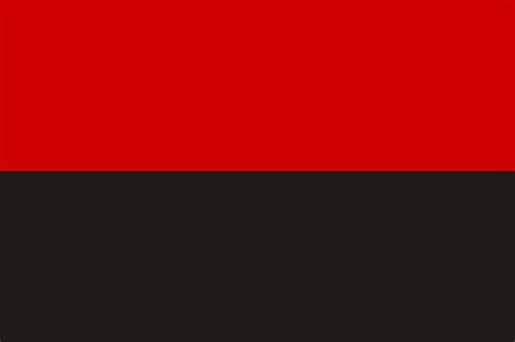 Красно-черный флаг: командная игра, целью которой является захват флага противоположной команды