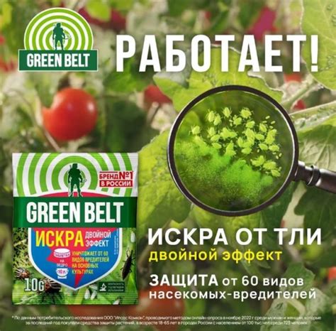 Кузнечиков-вредителей: эффективное укладывание кладок
