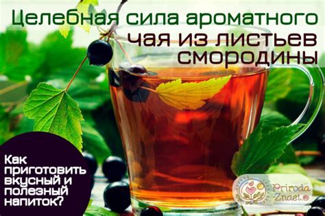Кулинарные секреты: приготовление ароматного настоя из зеленых листьев дикой ягоды