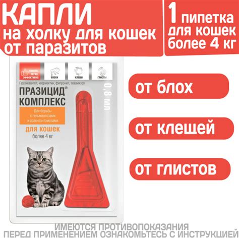 Лечение трещинящихся ногтей у котов: варианты и средства