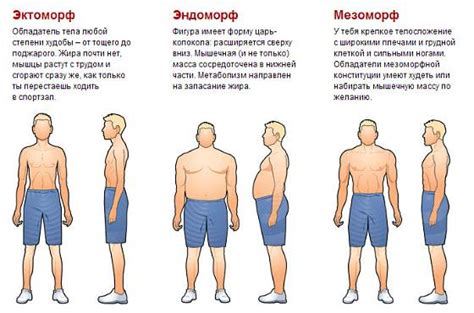 Между возрастом и организмом: понимание изменений тела у мужчин
