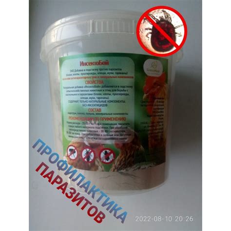 Механические методы устранения насекомых-паразитов на клумбе с ягодами