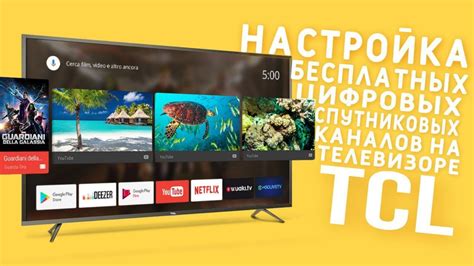 Настройка субтитров на телевизоре TCL: полезная информация