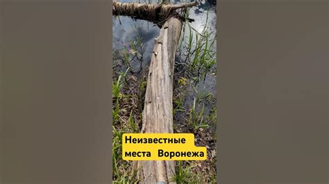 Обработайте обнаруженное место