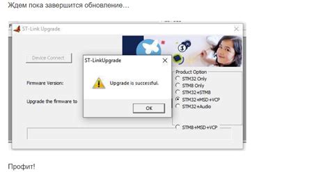 Ожидание завершения обновления и выключение устройства