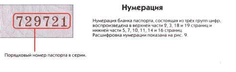 Определение и получение информации о вашем персональном идентификационном номере ЕНИ РФС ID