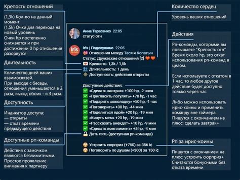 Основное понятие РП команды в Ирисе