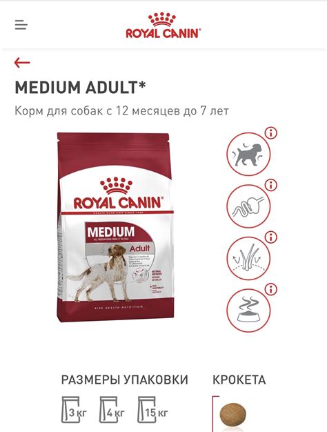 Основные признаки подделки корма Royal Canin: как отличить от оригинала