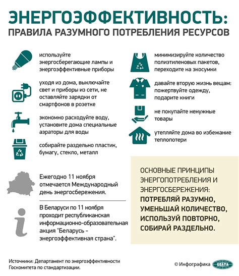 Основные принципы подготовки эффективной пастушьей рыболовной конструкции