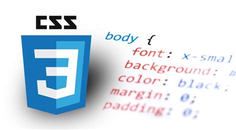 Основные составляющие анкет в HTML