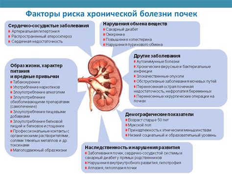 Основные факторы, влияющие на повышенное содержание уробилиногена в моче у кошек