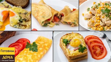 Основы приготовления аппетитных и сытных блюд с использованием вкусного яйца
