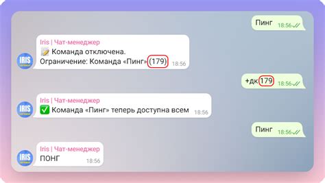 Оформление команды в Ирисе