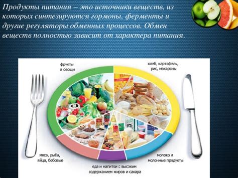 Пищевые продукты для активации обменных процессов
