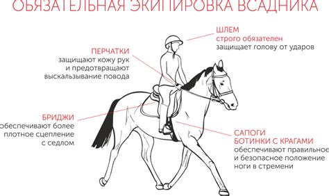 Подготовка перед началом процесса обучения верховой лошади