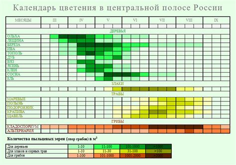Поддержание оптимального режима полива после небесполезного периода цветения