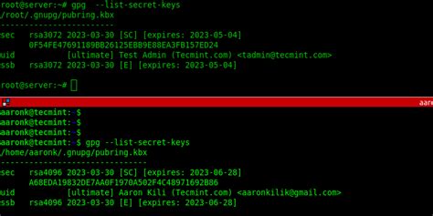 Подробная информация о создании и получении GPG-ключа в Debian