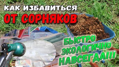Полезные советы и методы для эффективного удаления сорняков с помощью мотоблока МТЗ