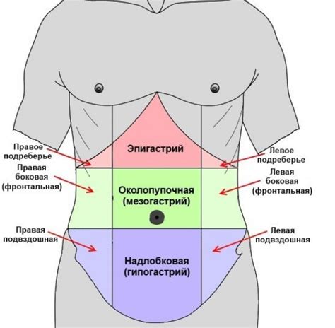Понимание сущности возможных изменений внутренних органов нижнего живота
