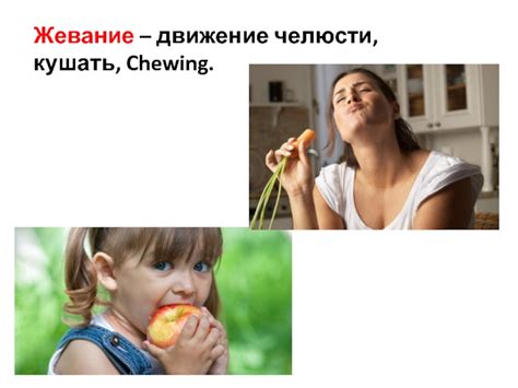 Правильное жевание: суть мощной челюсти