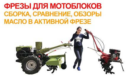 Применение мотоблока MTZ и фрезы для эффективной обработки почвы: полезные рекомендации
